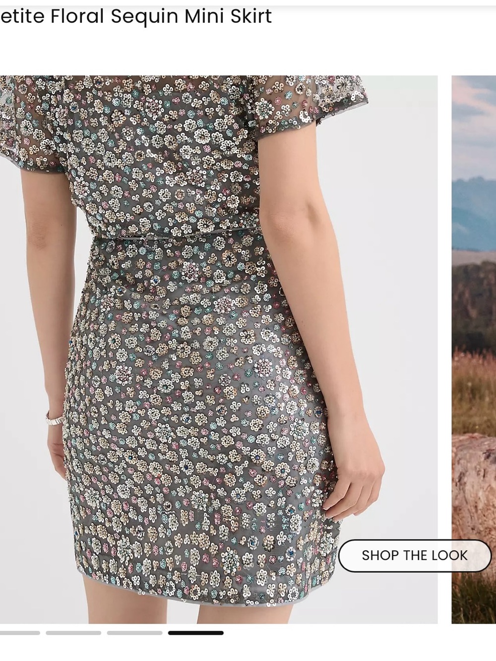 Loft Sequin Floral Mini skirt in Metallic Gray